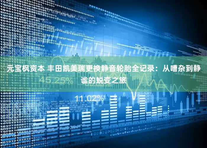 元宝枫资本 丰田凯美瑞更换静音轮胎全记录：从嘈杂到静谧的蜕变之旅