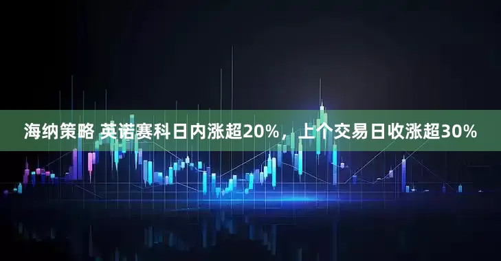 海纳策略 英诺赛科日内涨超20%，上个交易日收涨超30%